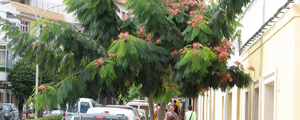 
            Фотография Феррерьеса