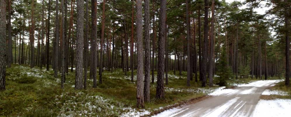 
            Фотография Раннакюлы 