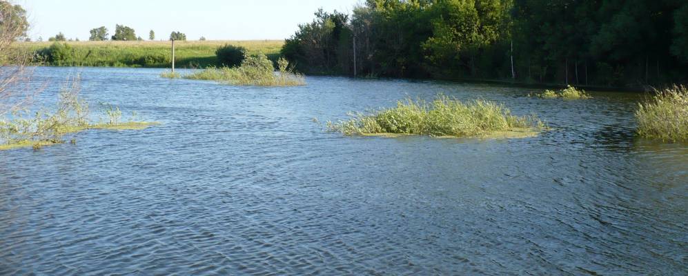 
            Фотография Юдинки