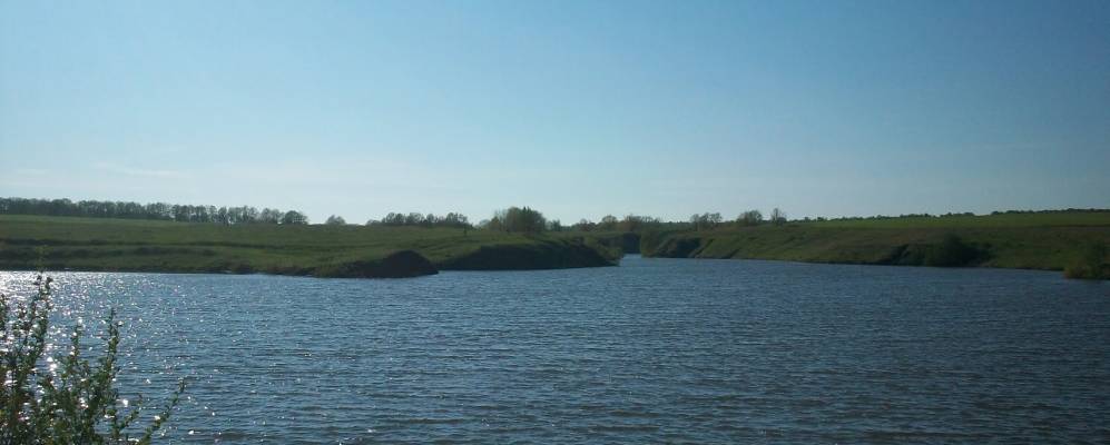 
            Фотография Дикого Поля