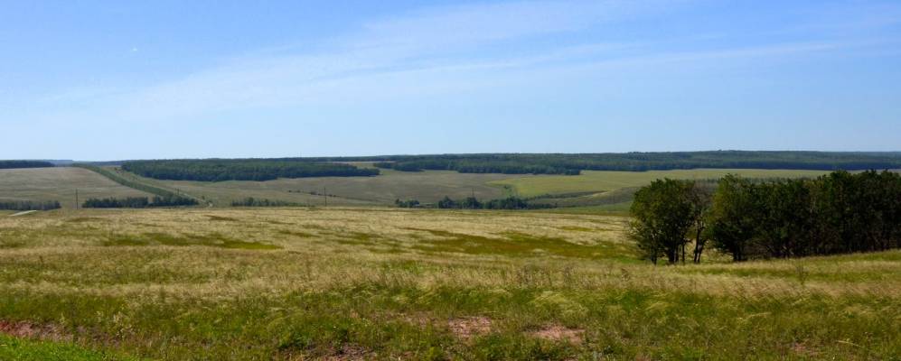 
            Фотография Алешкино