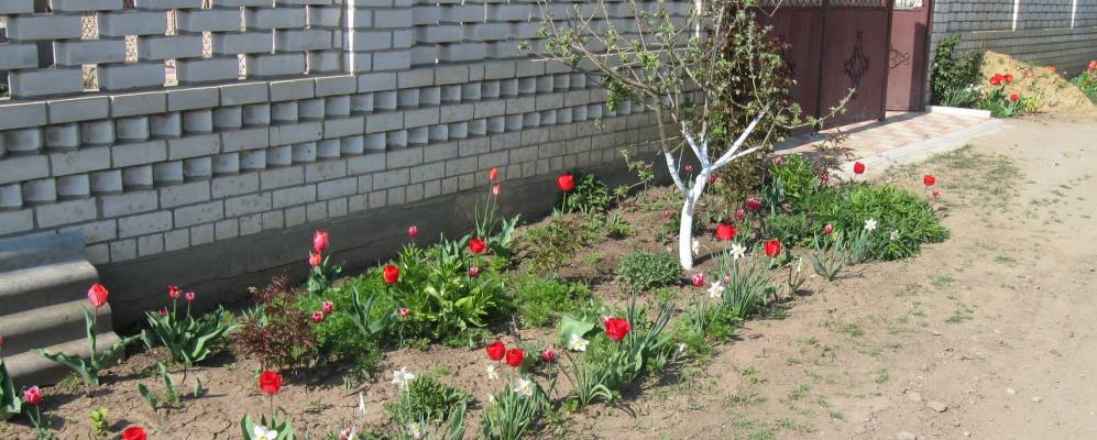 
            Фотография Повстанского