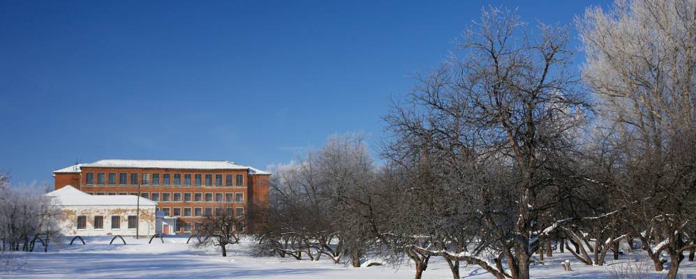 Фотография Упёртовки