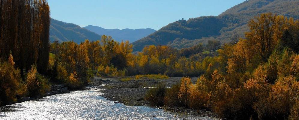 
            Фотография Беттолы