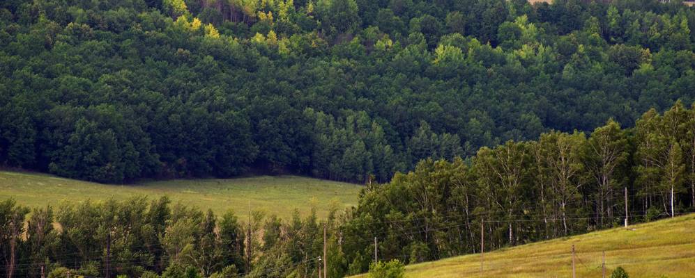 
            Фотография Быстри