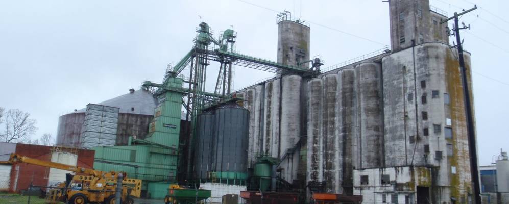 
            Фотография Эстилла