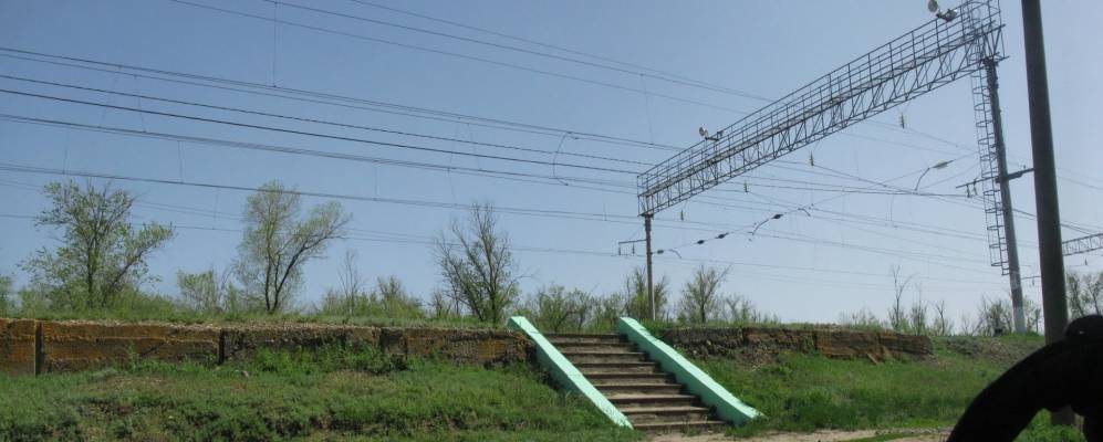 
            Фотография Солодчи