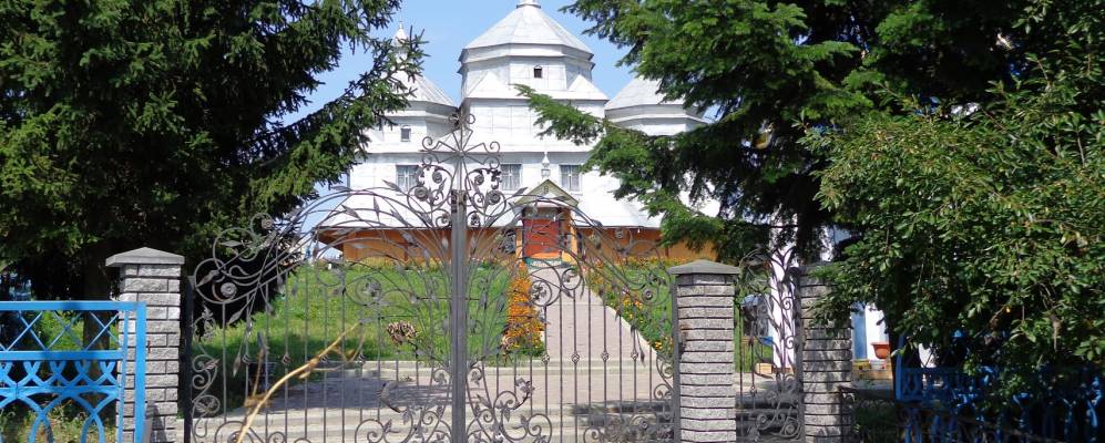 
            Фотография Вишневки