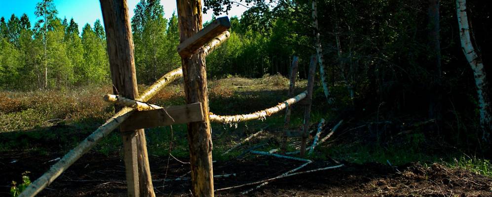 Фотография деревни Кожуры