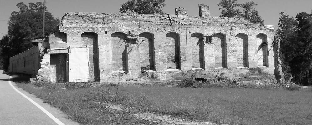 
            Фотография Мейо