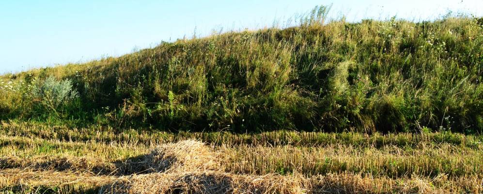 
            Фотография Старого Мокреца