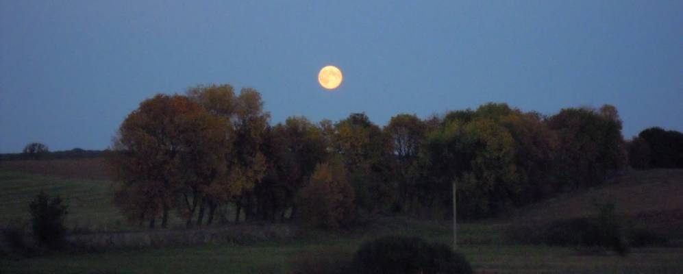 
            Фотография Сулимова