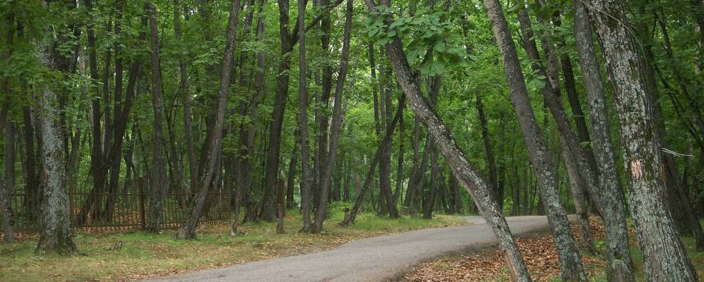
            Фотография Воронежкого-1