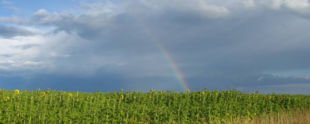 
            Фотография Подвязья