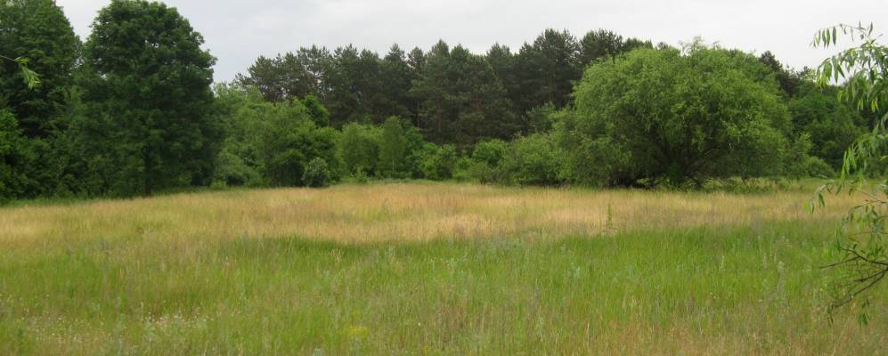 
            Фотография Почапы