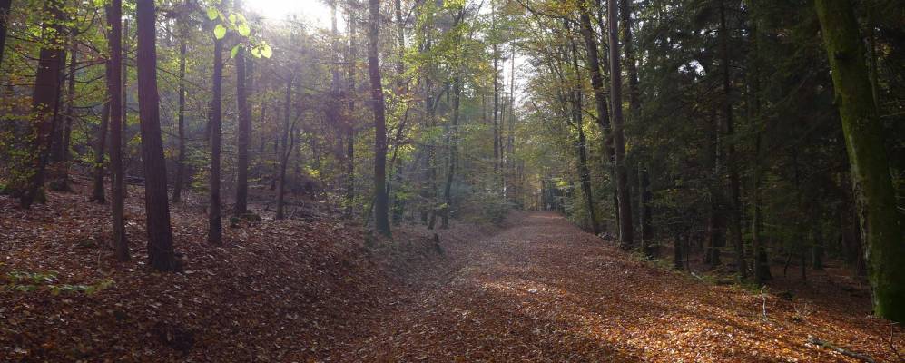 
            Фотография Веитевиллер