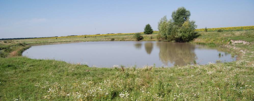 
            Фотография Широкой Долиной