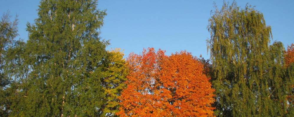 
            Фотография Ивано-Вердереевки