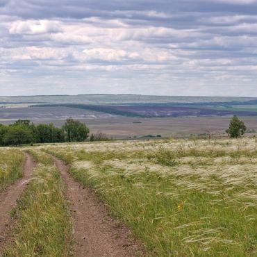 Гавриловка