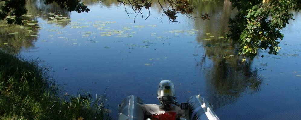 
            Фотография Голубицы