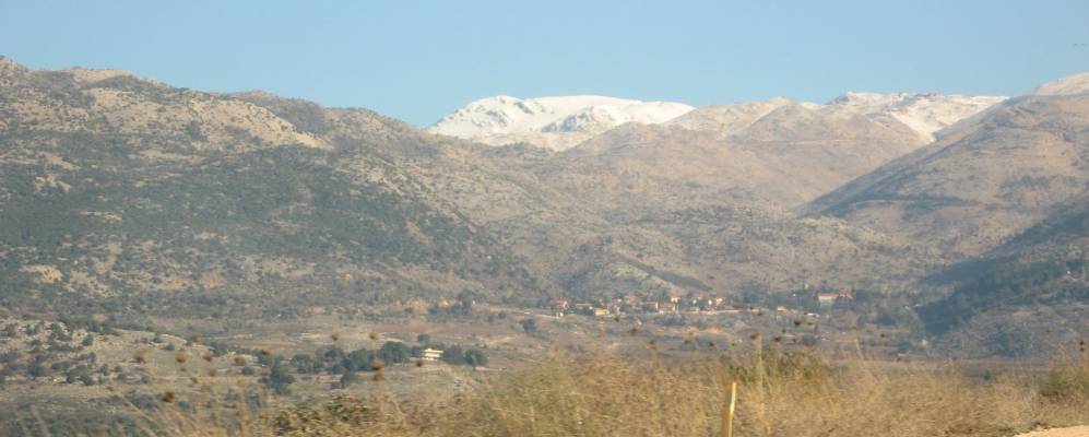 
            Фотография Нимрода