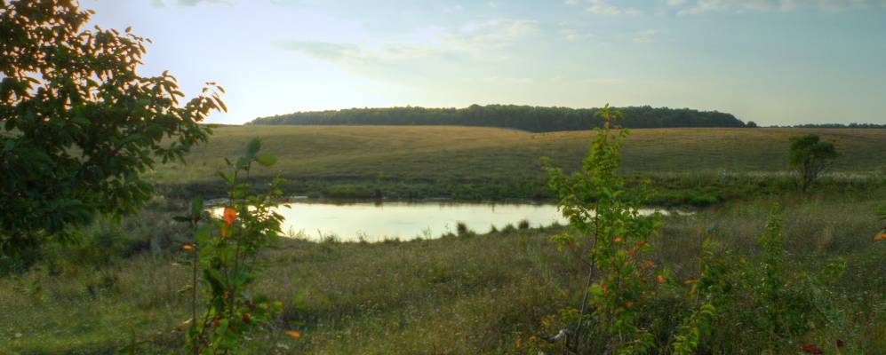 
            Фотография Потоки