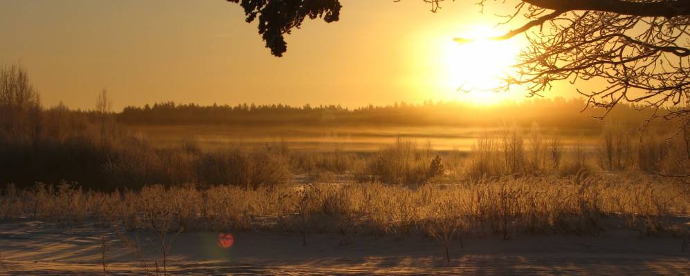 
            Фотография деревни Коренцы