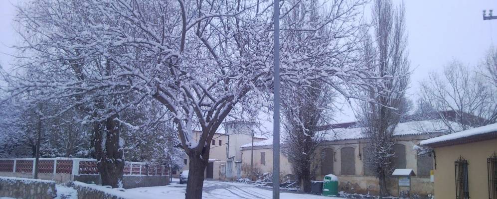 
            Фотография Эль-Пикасо