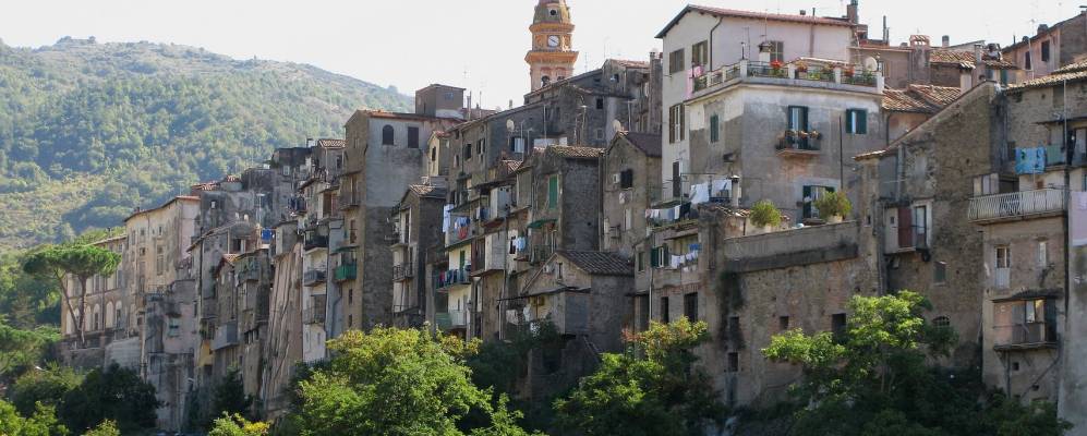 
            Фотография Поли