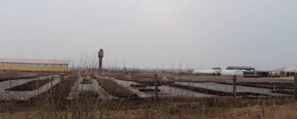 
            Фотография Красной Поляны