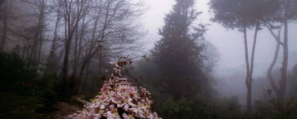 
            Фотография Монте Компатри