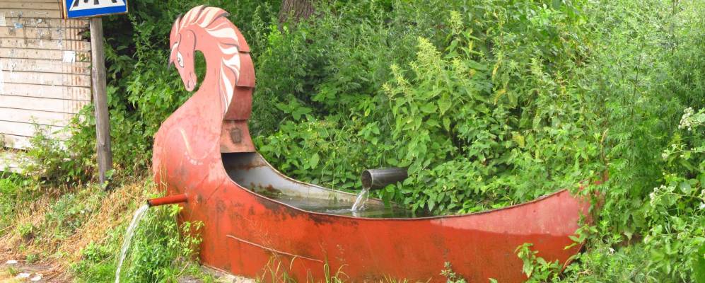 
            Фотография Редколесья