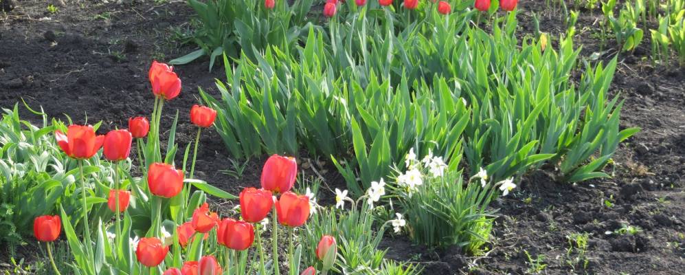 
            Фотография Баратаевки