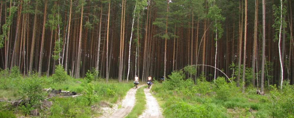 Фотография Добринки