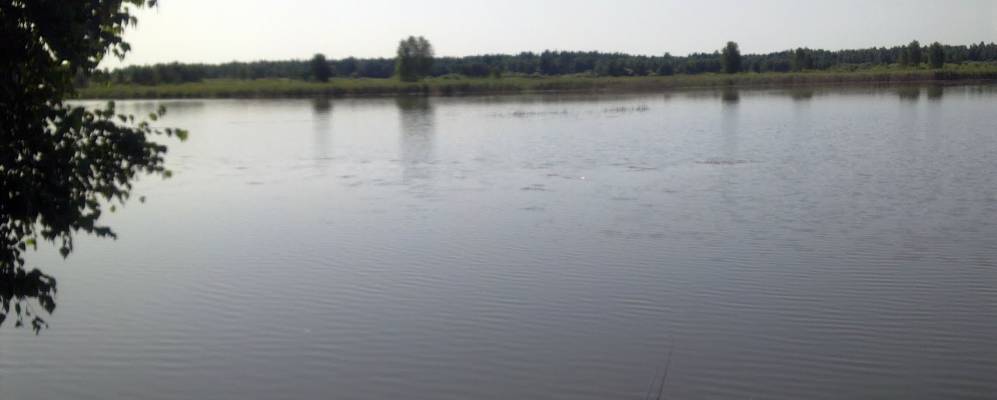 
            Фотография Гацука