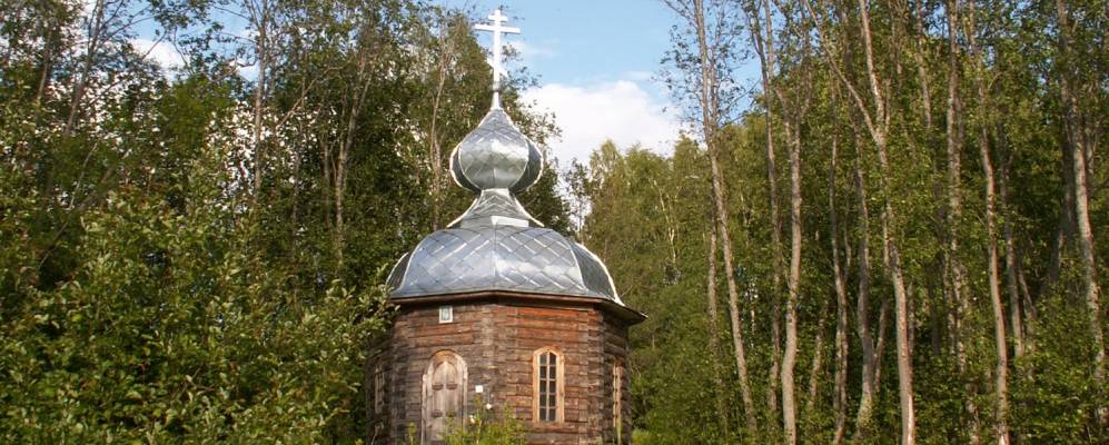 
            Фотография Рохновской