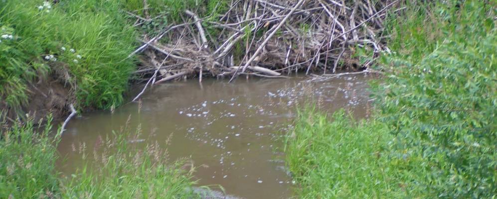 
            Фотография Терентьево