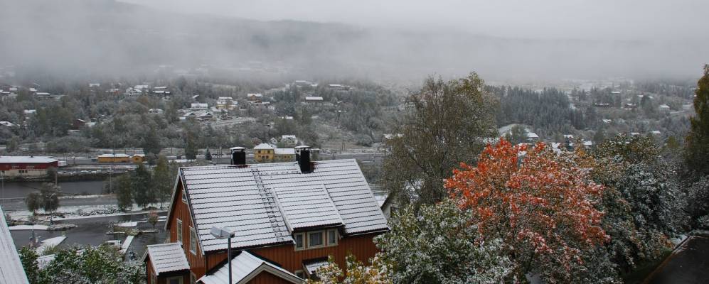 Фотография Ола