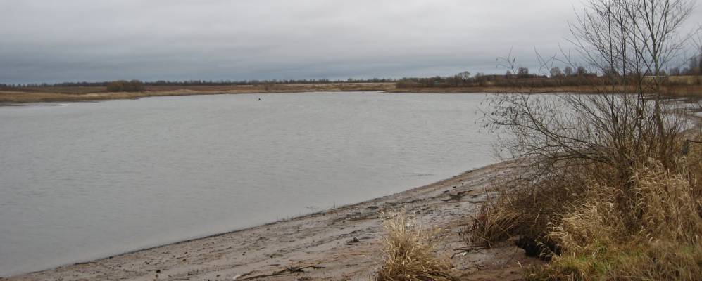 
            Фотография Прудища