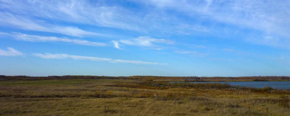 
            Фотография Кузьминовки