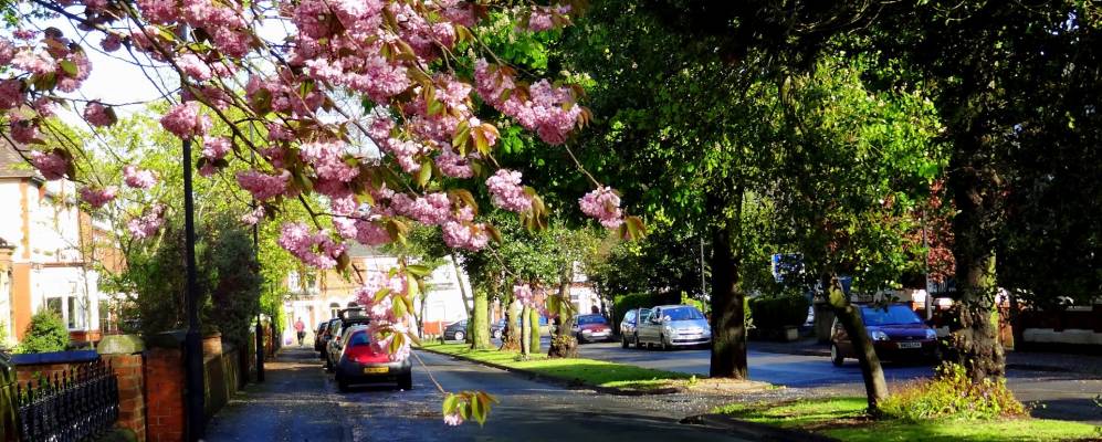 
            Фотография Донкастера