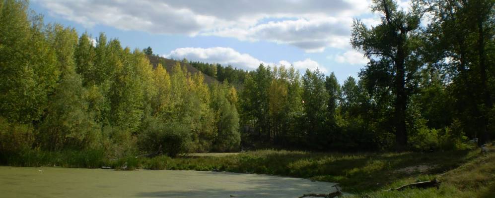 Фотография Новой Камаевки