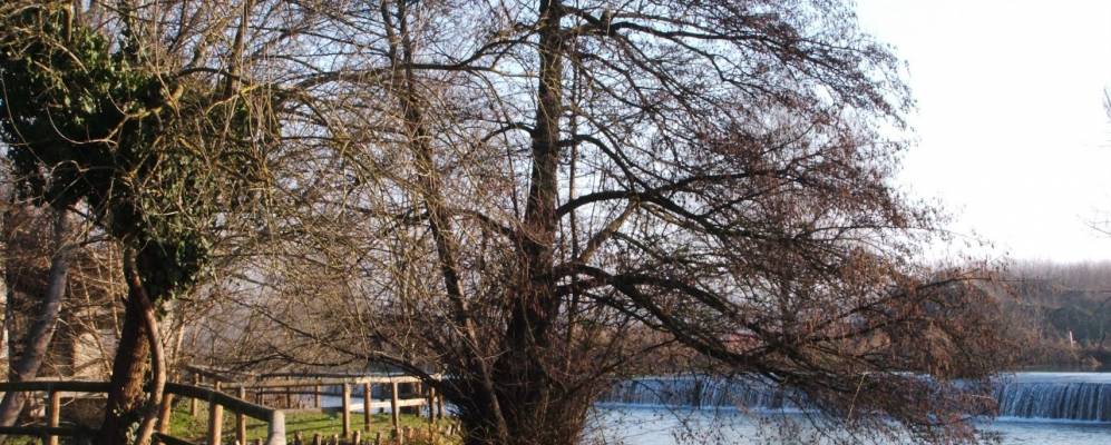 
            Фотография Гойто