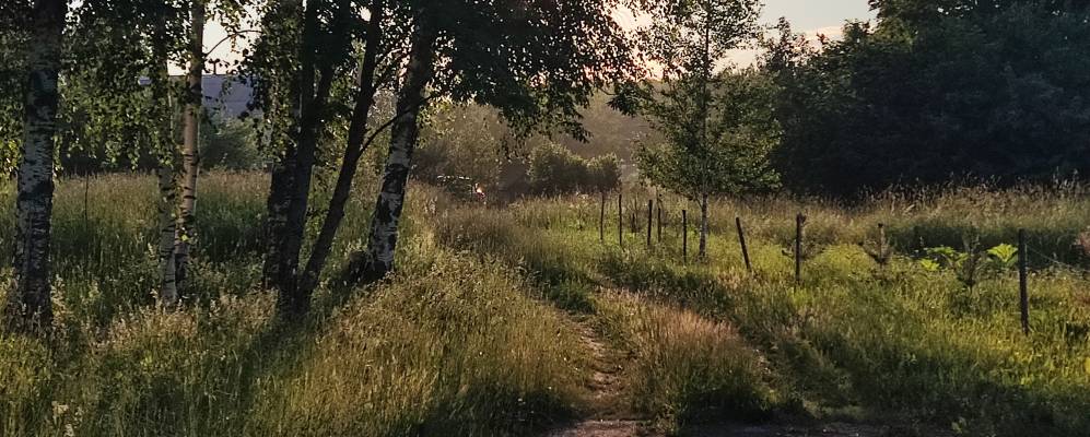 
            Фотография Линово