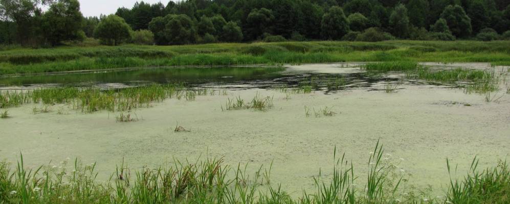 Фотография Калинина