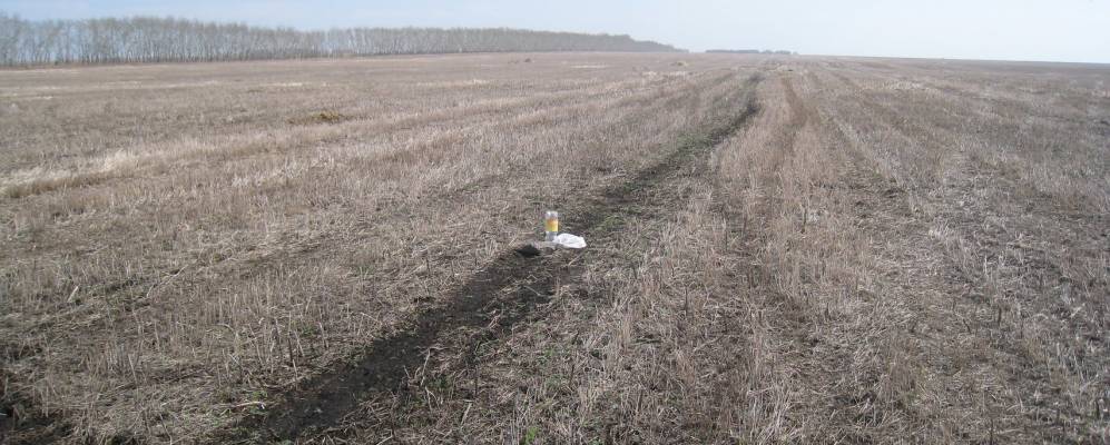 
            Фотография Русскоурского