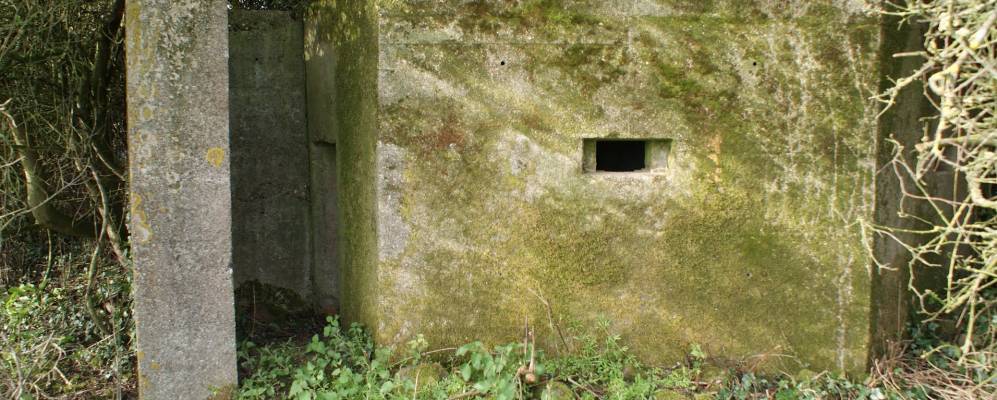 
            Фотография Леконфилда