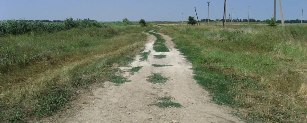 Фотография Восточного