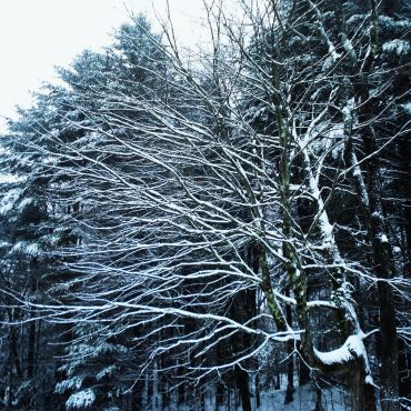 Кантон Велли