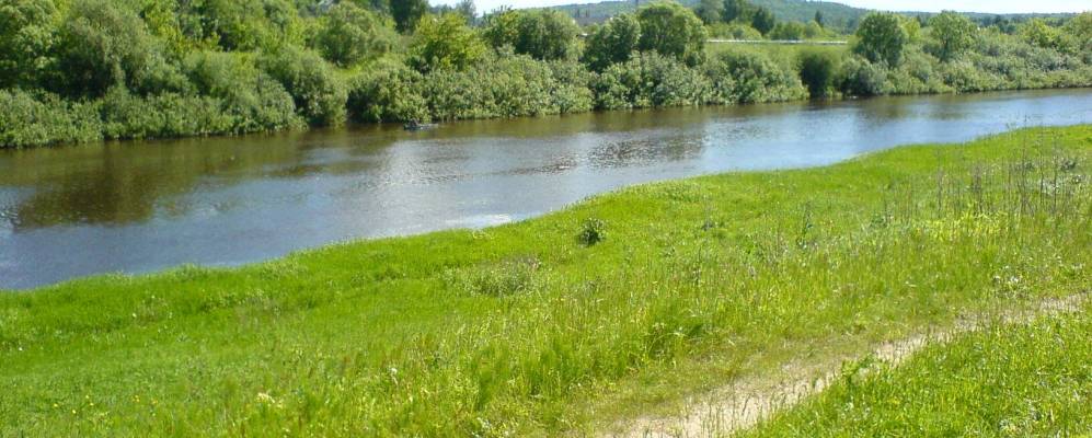 
            Фотография Валутино